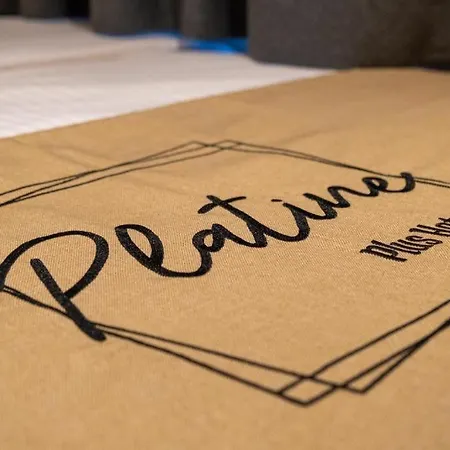 酒店 The Platine *