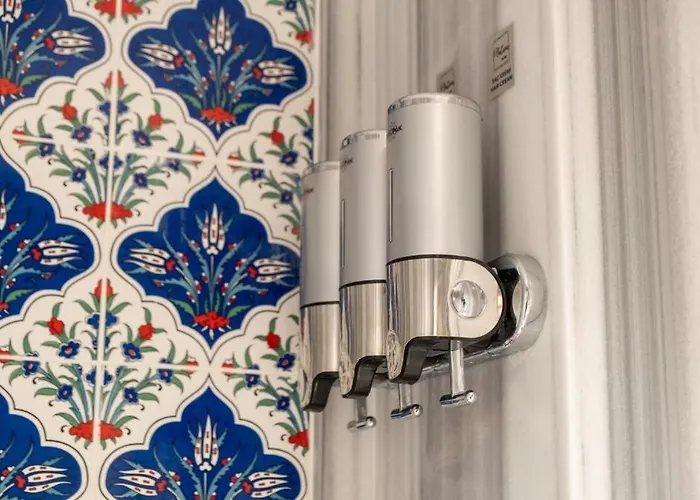 The Platine Istanbulská provincie